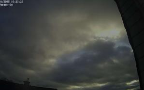 44