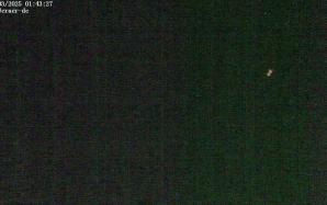 44