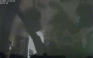 44