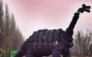 IMG_20151220_194047_49