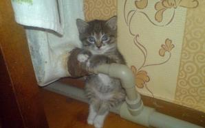 IMG_20160118_212049_41