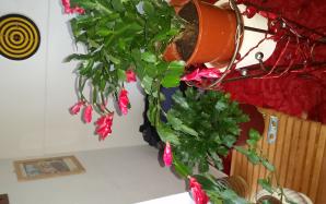 20160424_175944