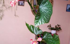 20150428_152140