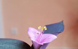 20150714_154257