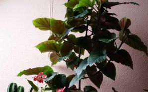 20151106_154058