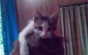 Bild287329