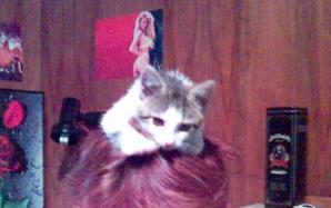 Bild287429