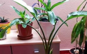 orig_20150624_194832