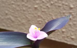 orig_20150714_154208