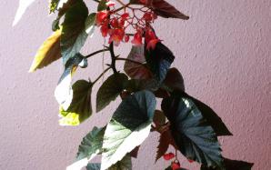 orig_20150823_134608