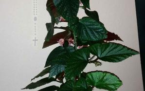 orig_20150922_221431