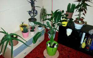 orig_20150922_221447