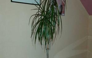 orig_20150922_221456