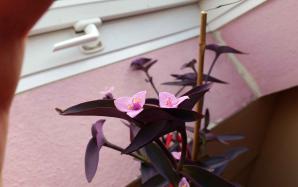 orig_20151021_164301~1