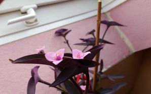 orig_20151021_164301