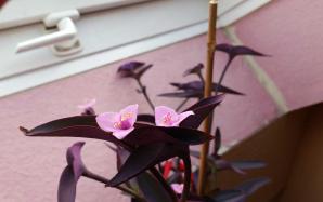 orig_20151021_164301