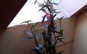 orig_20151021_164519