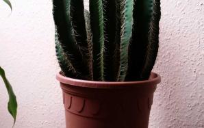 orig_20151106_154251