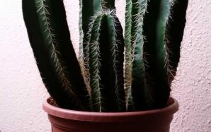 orig_20151106_154307