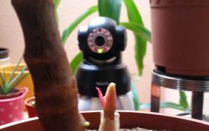 orig_20151124_102139