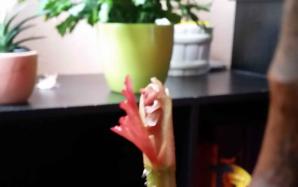 orig_20151202_144858