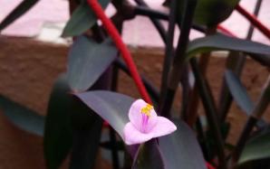 orig_20151207_094644