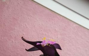 orig_20151207_094845