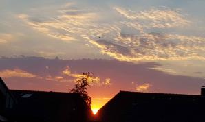 sonst